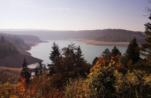 Maisod Ski Chalet | Chalet chaleureux - Cerf