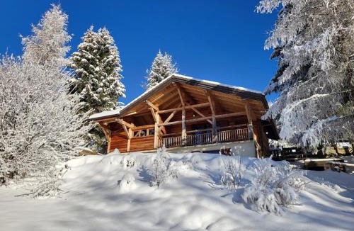 Lullin Ski Chalet | Chalet Chamois & Spa