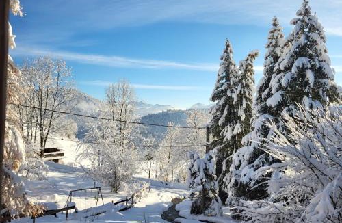 Lullin Ski Chalet | Chalet Chamois & Spa