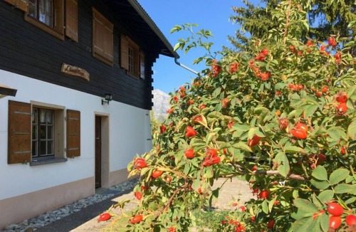Mayens-de-Riddes House | Chalet Chante Neige by Interhome