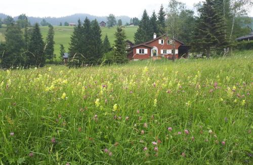 Wildhaus House | Chalet Chic mit Hot Pot