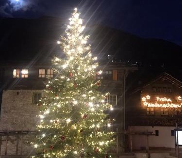 Stalden Apartment | Chalet Chinegga