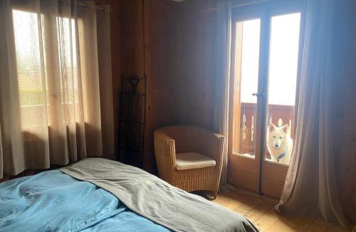 Chesieres Ski Chalet | Chalet Chocolat