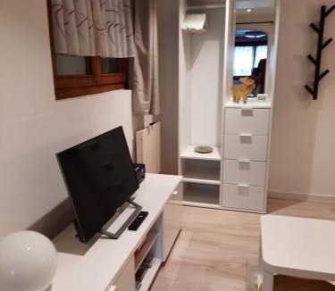 Gasenried Apartment | Chalet Clair de Lune bei Grächen VS
