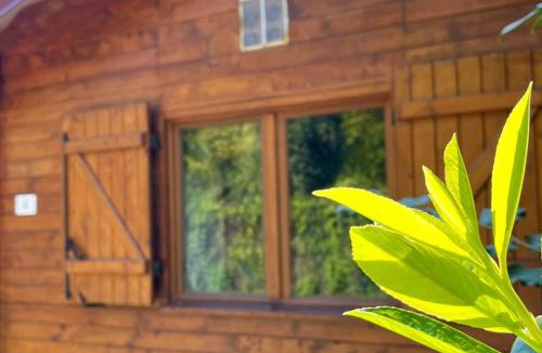 Angicourt Other | Chalet climatisé - 2 pers. - API-1-52-2574