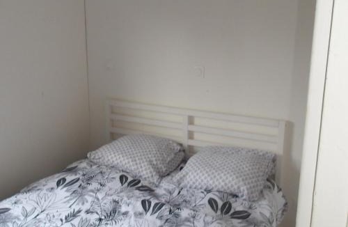 Biscarrosse Ski Chalet | Chalet Confort à Biscarrosse - 6 Pers. - FR-1-319-594