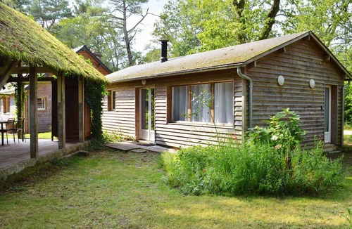 Beignon Ski Chalet | Chalet Cosy au Cœur de la Forêt de Brocéliande - Hameau D'afféa