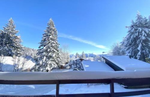 Pugny-Chatenod Ski Chalet | Chalet Cosy