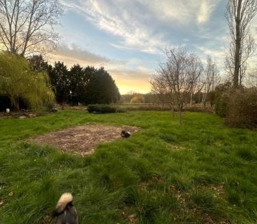 Bazoches-sur-le-Betz Other | Chalet de Béon