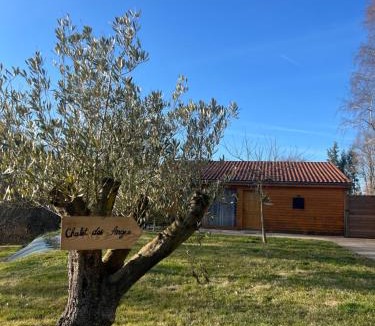 Youx Ski Chalet | Chalet des Anges