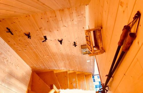 La Joue du Loup Ski Chalet | CHALET DES PAZ