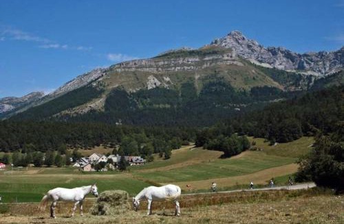 Villard-de-Lans Ski Chalet | Chalet du champ Martel