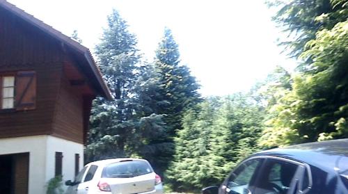 Saint-Remy-Sur-Durolle Cabin | Chalet du lac