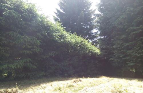 Saint-Remy-Sur-Durolle Cabin | Chalet du lac