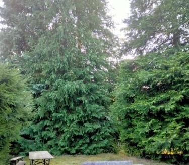 Saint-Remy-Sur-Durolle Cabin | Chalet du lac