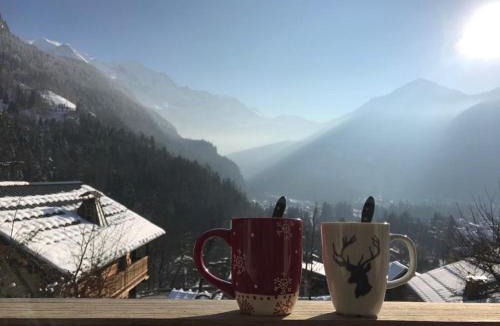 Servoz Ski Chalet | Chalet du grand cerf