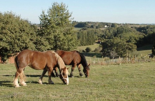 Chatres Ski Chalet | Chalet Edelweiss