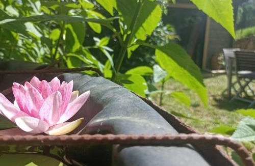 Fabras Ski Chalet | Chalet en Ardèche