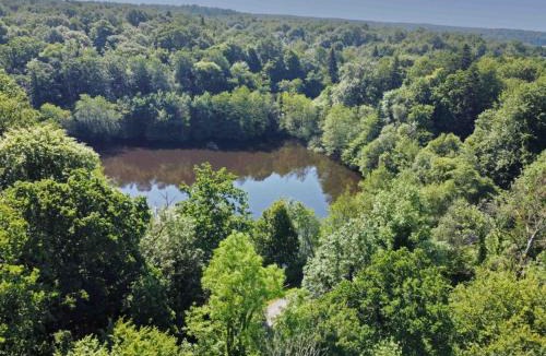 Chaumont House | Chalet en bois cosy en forêt, idéal pour couple - FR-1-497-213
