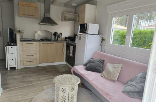 Lit-et-Mixe Other | Chalet en Parc résidentiel pour 4 personnes à proximité de la plage