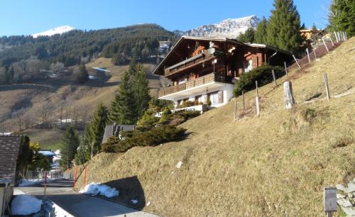Bad-Schwarzsee Apartment | Chalet Erica