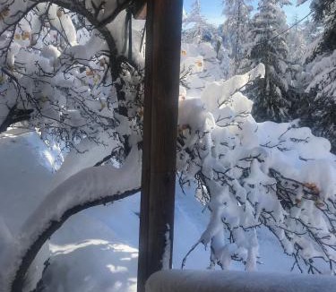 Saint-Etienne-de-Tinee Ski Chalet | CHALET FAMILIAL AURON