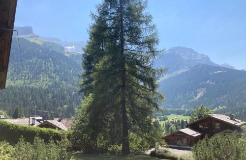 Ormont-Dessus Ski Chalet | Chalet familial Rose de Noël