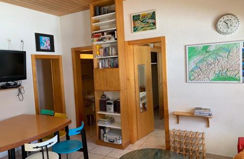 Vercorin Ski Chalet | Chalet Fleuris ground floor with garden sauna terrace and Alps view