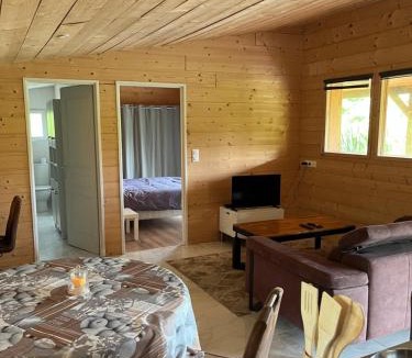Fleury-sur-Loire Ski Chalet | Chalet