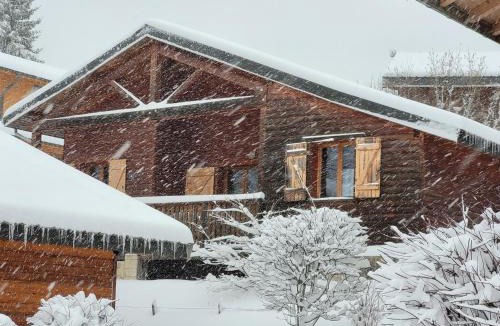 Saint-Laurent-en-Grandvaux Ski Chalet | Chalet les Randonneurs spacieux 8 couchages