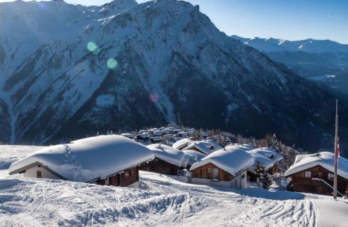 Rosswald Apartment | Chalet Fridi