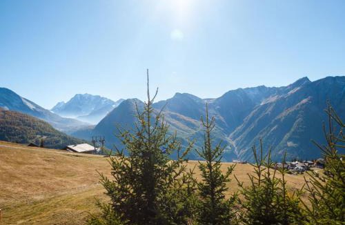 Rosswald Apartment | Chalet Fridi