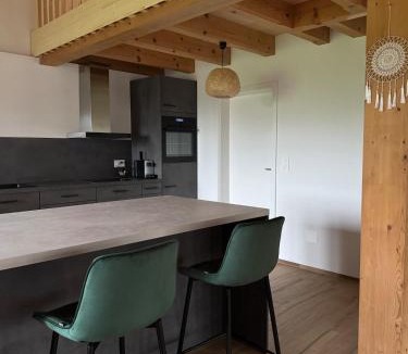 Gadmen Apartment | Chalet Gadmer Herz