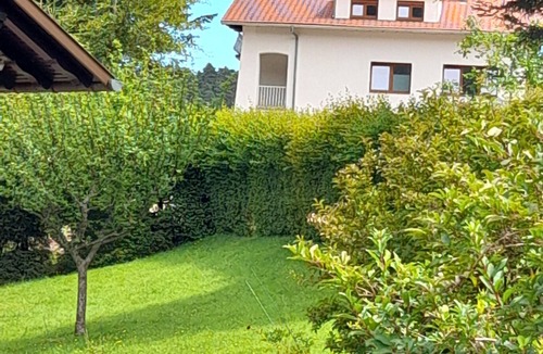 Wangenbourg-Engenthal Ski Chalet | CHALET - GITE 15 PERSONS ALSACE- ACCOMMODATION WITH SAUNA ALSACE