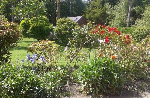 Plourivo House | Chalet "gite du bois d'amour