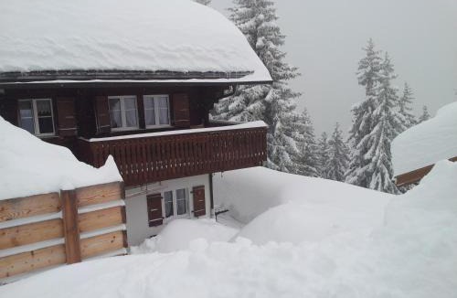 Riederalp Apartment | Chalet Grazia