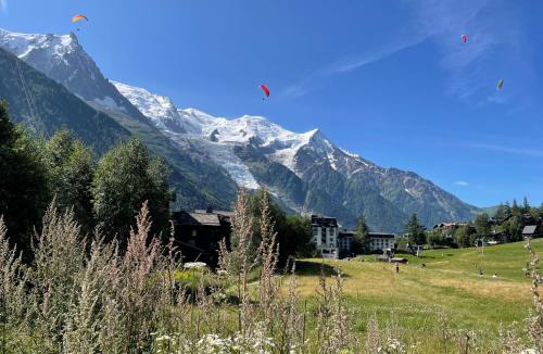 Chamonix City Centre Hotel | Chalet Hôtel La Sapinière