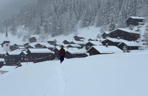 Niederwald Ski Chalet | Chalet in Niederwald