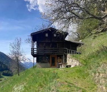 Niederwald Ski Chalet | Chalet in Niederwald