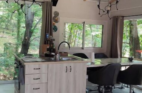 Concoules Ski Chalet | Chalet in the heart of the forest Animals ok