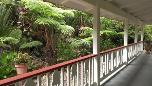 Volcano Cabin | Chalet Kilauea