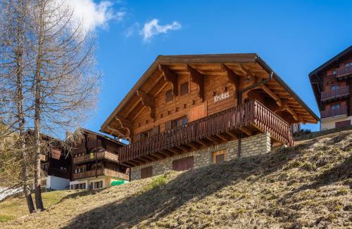 Riederalp Apartment | Chalet Krokus