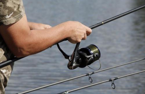 Villiers-Charlemagne House | Chalet l'Anguillle