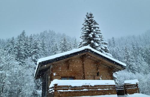 La Giettaz Ski Chalet | Chalet L'Armoy