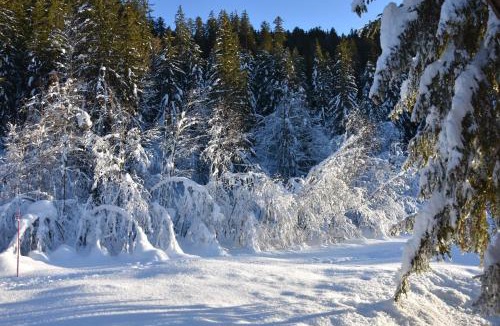 La Giettaz Ski Chalet | Chalet L'Armoy