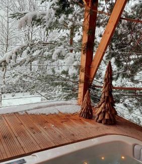 Saint-Etienne-de-Tinee Cabin | Chalet l'Empreinte