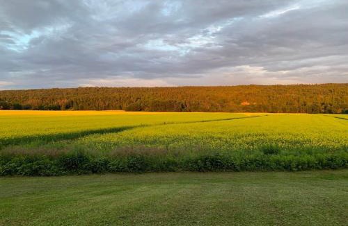 Riviere-du-Loup Regional County Municipality Ski Chalet | Chalet l'Intemporel - St Lawrence View