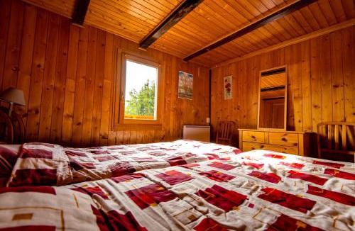 Anzere Ski Chalet | Chalet la Regin Anzere