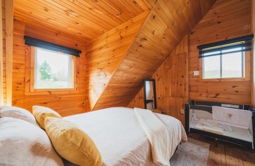 Mandeville Ski Chalet | Chalet Lagunak