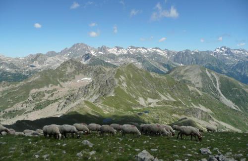 Saint-Dalmas Apartment | Chalet Le Bois Noir